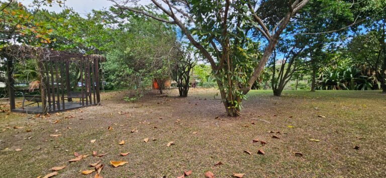 Bosque e clube nova ipanema Barra da Tijuca (3)