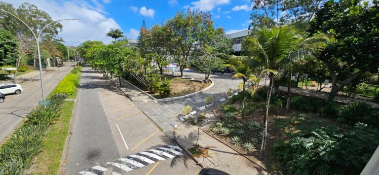 Bosque e clube nova ipanema Barra da Tijuca (6)